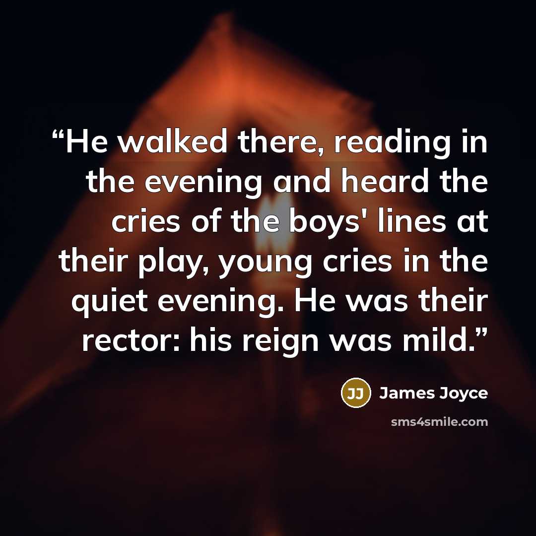 “He walked there, reading in the evening and heard the cries of the boys' lines at their play, young cries in the quiet evening. He was their rector: his reign was mild.” quote by James Joyce