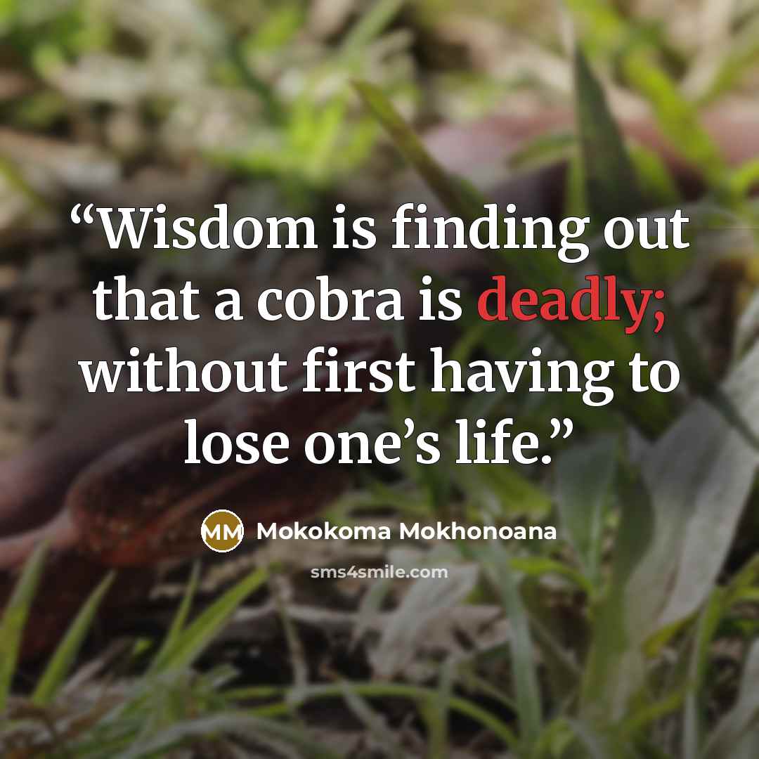 “Wisdom is finding out that a cobra is deadly; without first having to lose one’s life.” quote by Mokokoma Mokhonoana