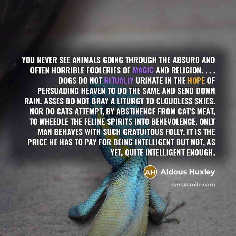 “You never see animals going through the absurd and often horrible fooleries of magic and religion. . . . Dogs do not ritually urinate in the hope of persuading heaven to do the same and send down rain. Asses do not bray a liturgy to cloudless skies. Nor do cats attempt, by abstinence from cat's…” quote by Aldous Huxley