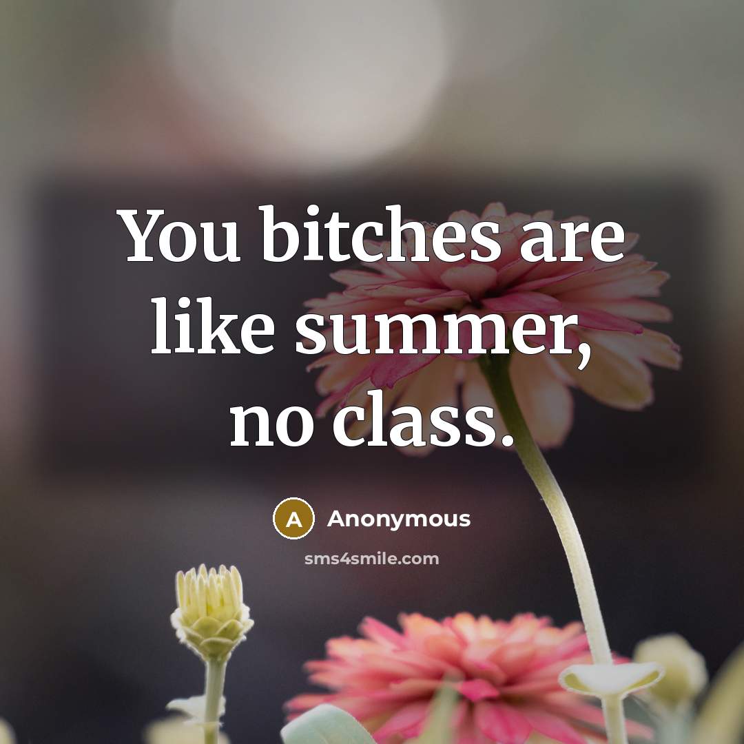 “You bitches are like summer, no class.” quote by Anonymous