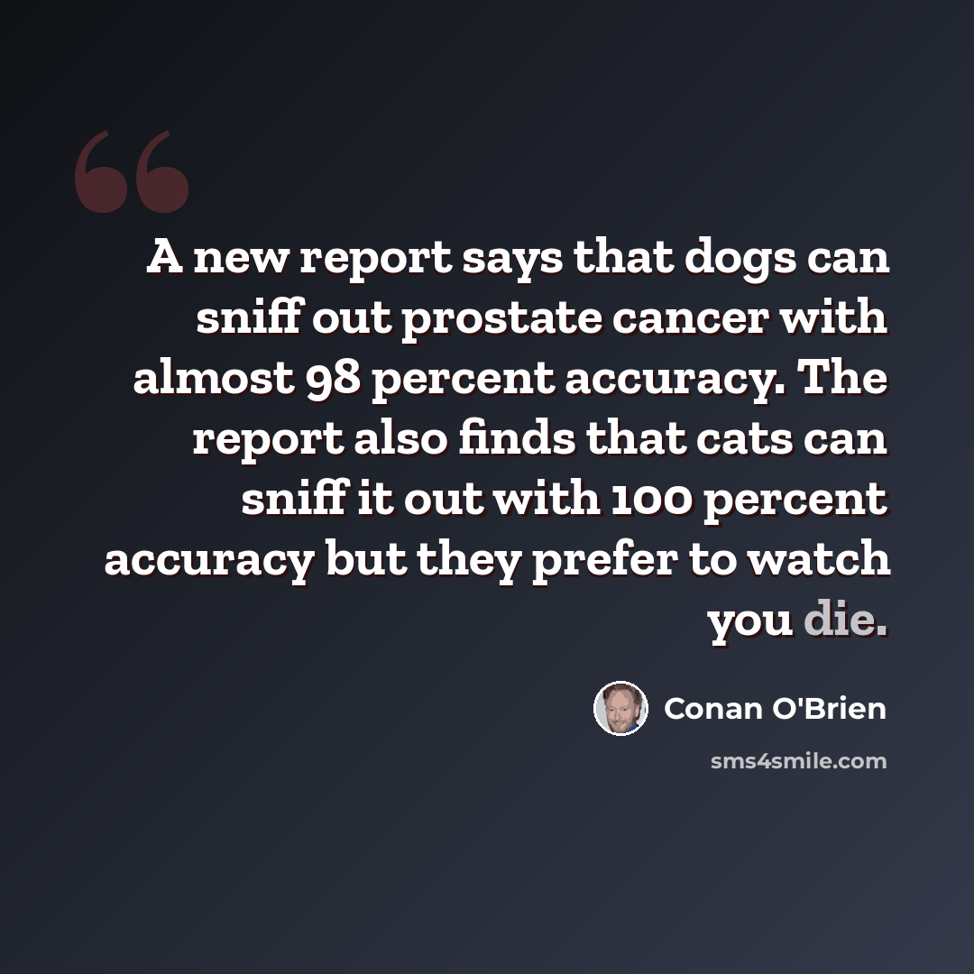 “A new report says that dogs can sniff out prostate cancer with almost 98 percent accuracy. The report also finds that cats can sniff it out with 100 percent accuracy but they prefer to watch you die.” quote by Conan O'Brien