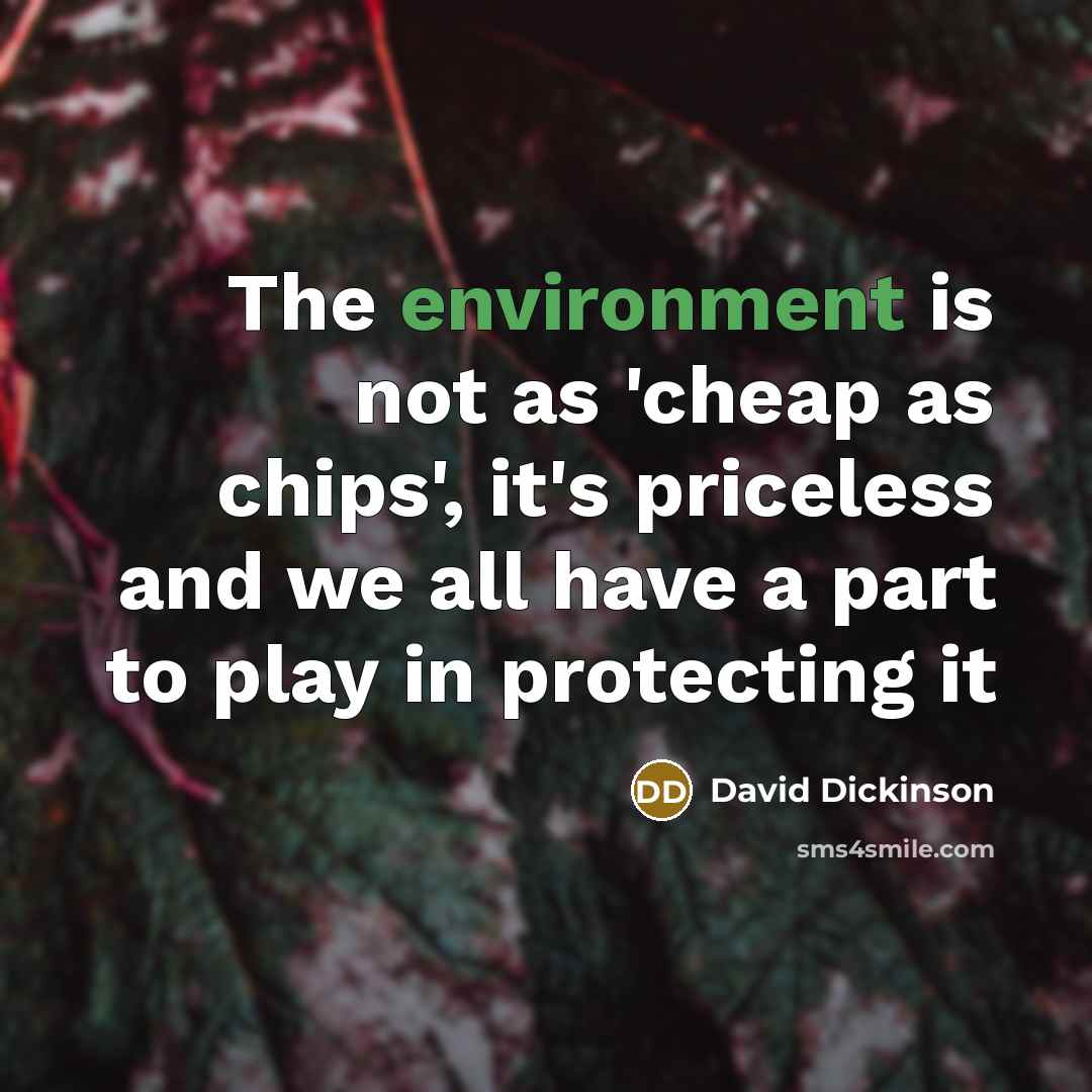 “The environment is not as 'cheap as chips', it's priceless and we all have a part to play in protecting it” quote by David Dickinson