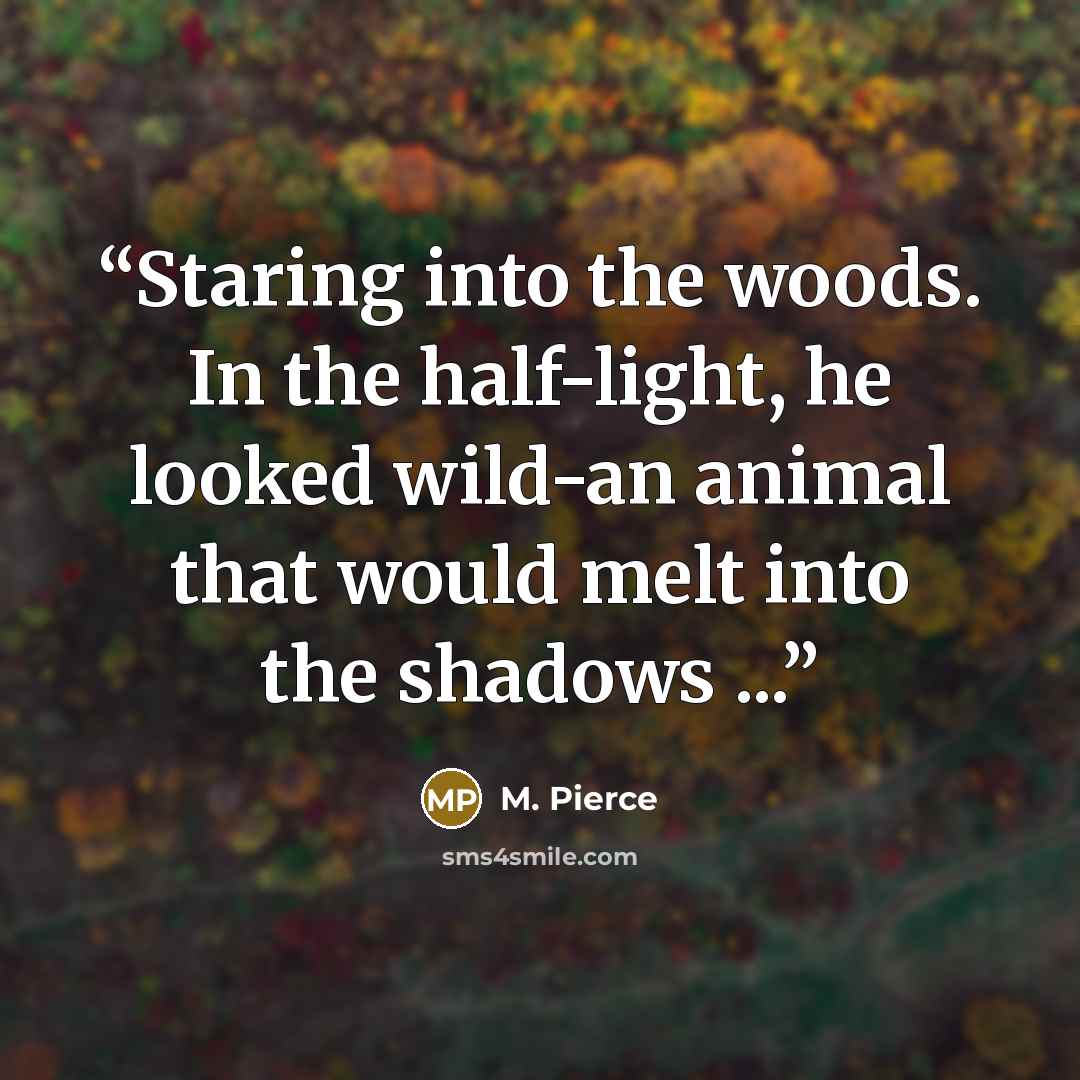 “Staring into the woods. In the half-light, he looked wild-an animal that would melt into the shadows ...” quote by M. Pierce