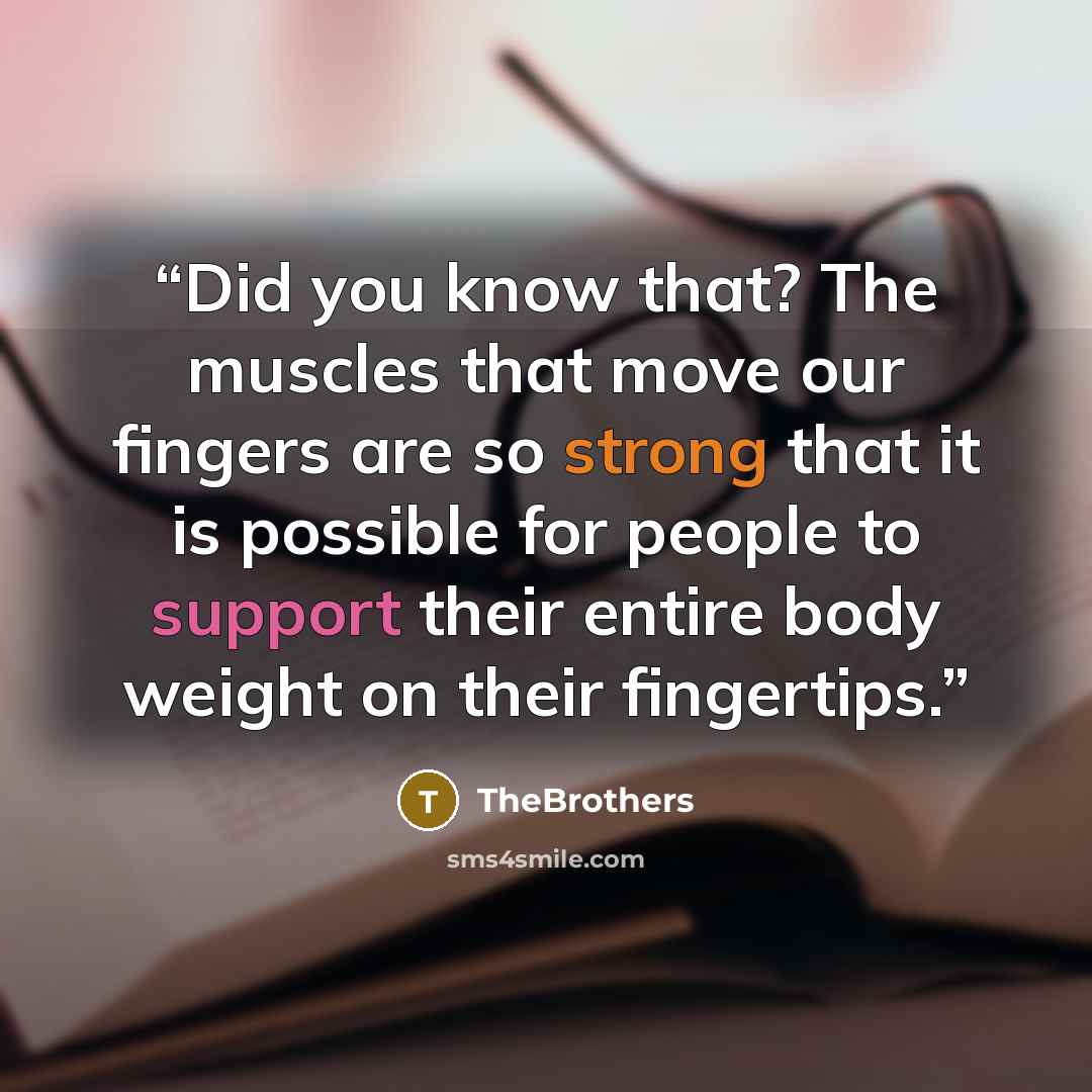 “Did you know that? The muscles that move our fingers are so strong that it is possible for people to support their entire body weight on their fingertips.” quote by TheBrothers