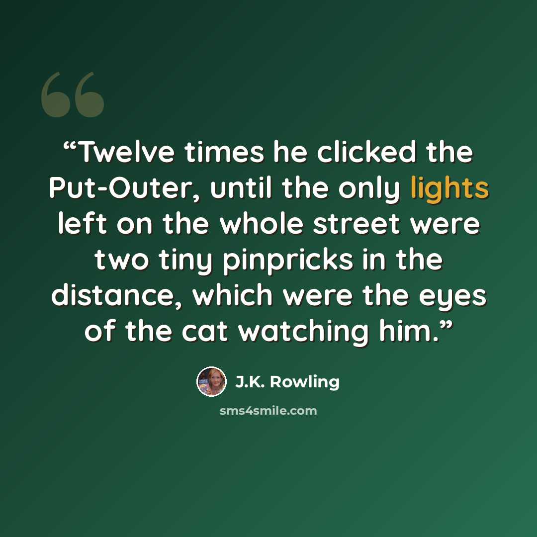 “Twelve times he clicked the Put-Outer, until the only lights left on the whole street were two tiny pinpricks in the distance, which were the eyes of the cat watching him.” quote by J.K. Rowling
