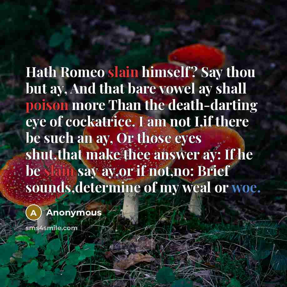 “Hath Romeo slain himself? Say thou but ay, And that bare vowel ay shall poison more Than the death-darting eye of cockatrice. I am not I,if there be such an ay, Or those eyes shut,that make thee answer ay: If he be slain say ay,or if not,no: Brief sounds,determine of my weal or woe.” quote by Anonymous