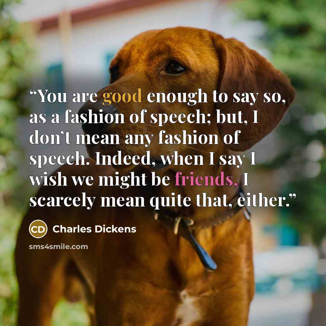 “You are good enough to say so, as a fashion of speech; but, I don’t mean any fashion of speech. Indeed, when I say I wish we might be friends, I scarcely mean quite that, either.” quote by Charles Dickens