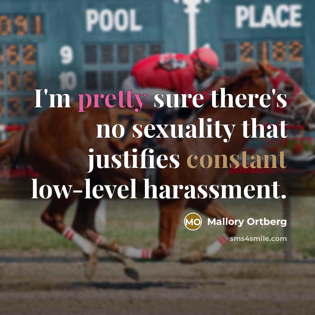 “I'm pretty sure there's no sexuality that justifies constant low-level harassment.” quote by Mallory Ortberg