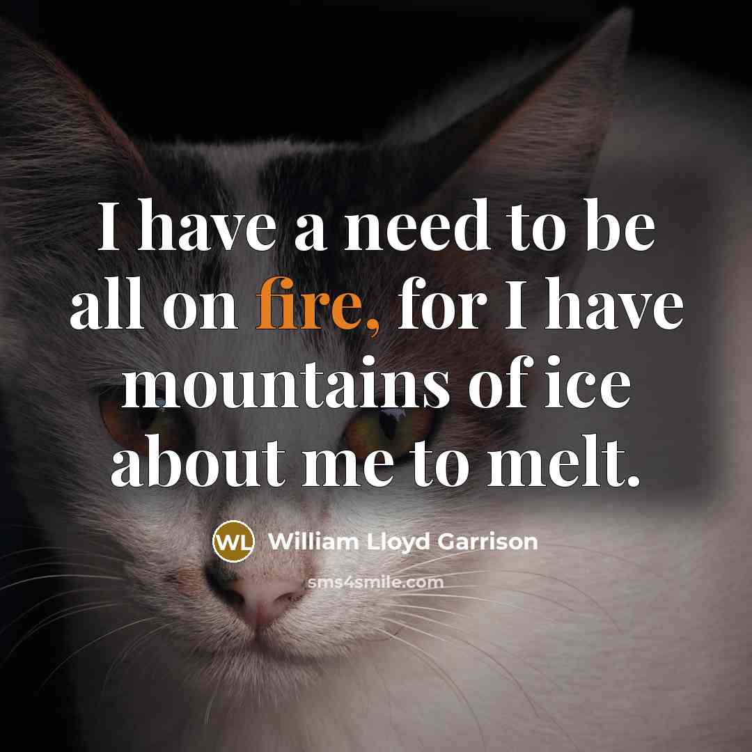 “I have a need to be all on fire, for I have mountains of ice about me to melt.” quote by William Lloyd Garrison
