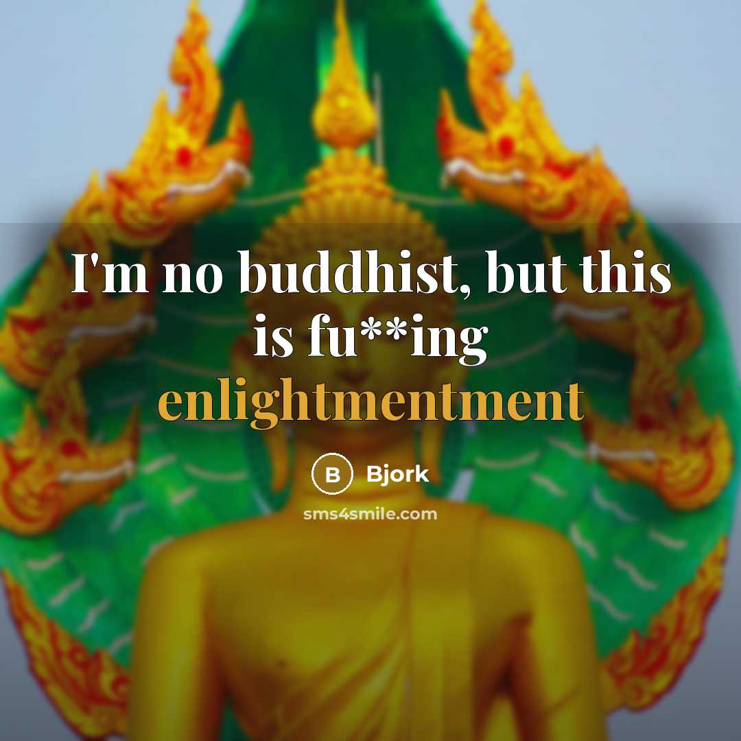 “I'm no buddhist, but this is fu**ing enlightmentment” quote by Bjork