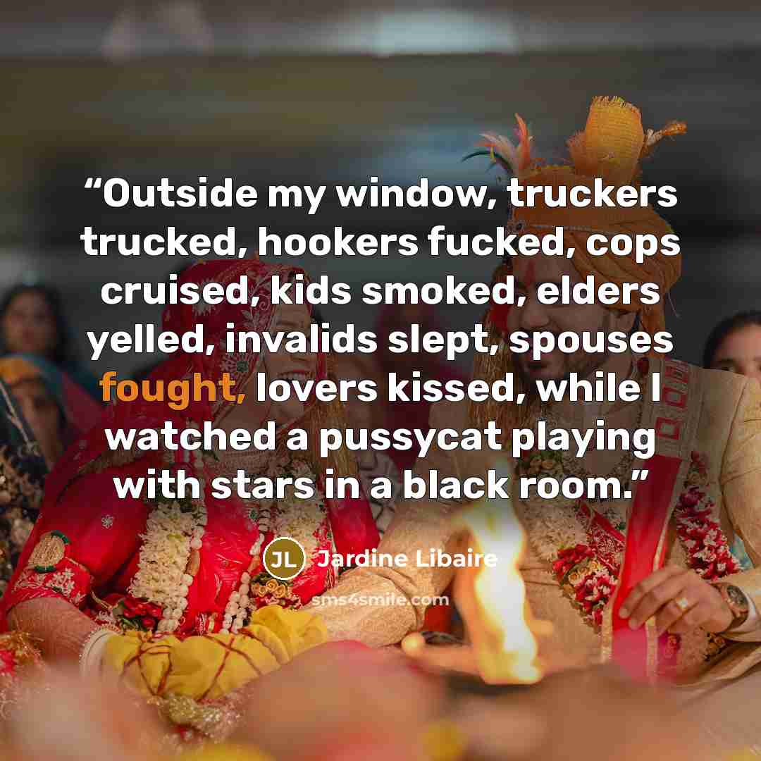 “Outside my window, truckers trucked, hookers fucked, cops cruised, kids smoked, elders yelled, invalids slept, spouses fought, lovers kissed, while I watched a pussycat playing with stars in a black room.” quote by Jardine Libaire