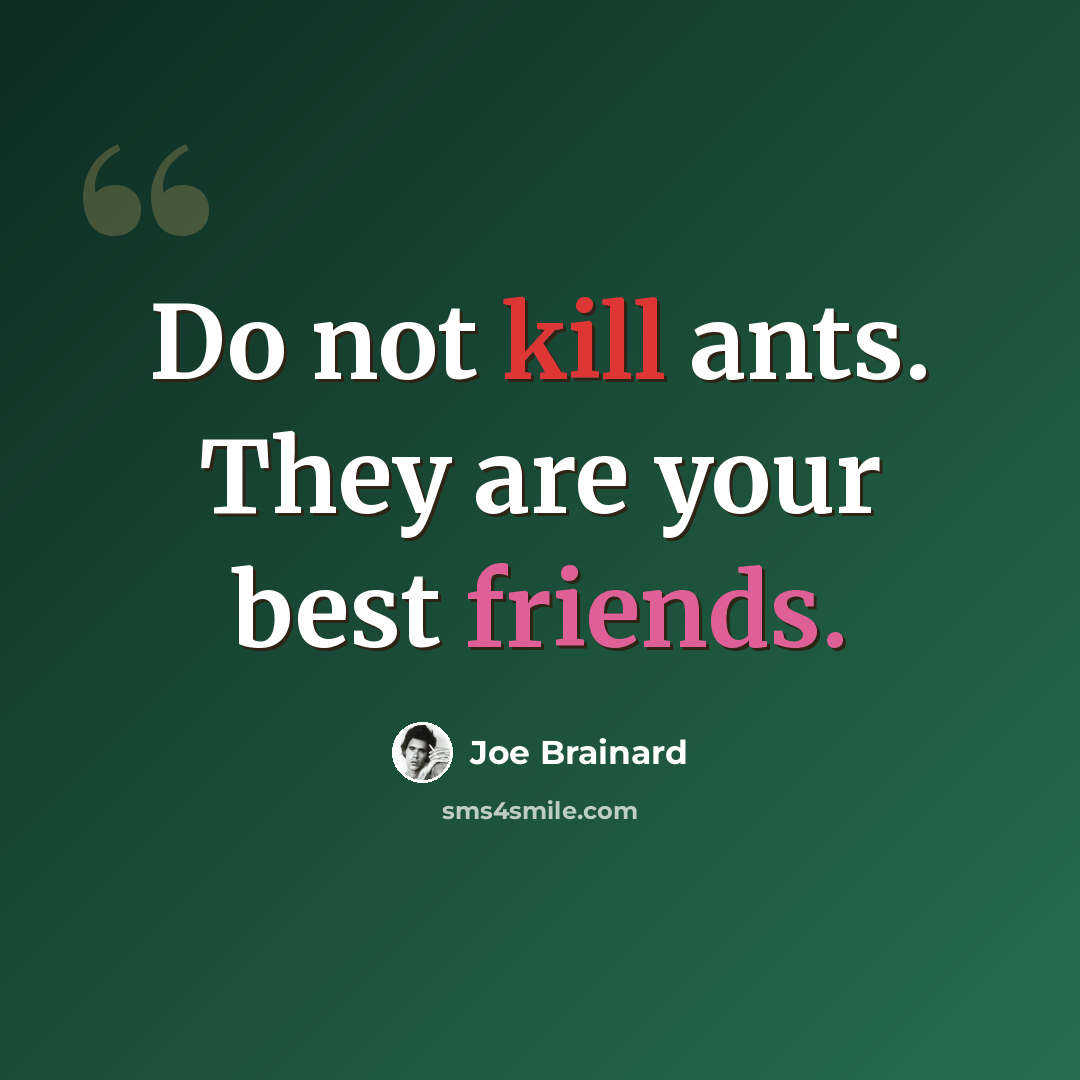 “Do not kill ants. They are your best friends.” quote by Joe Brainard