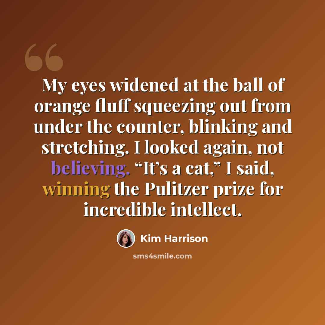 “My eyes widened at the ball of orange fluff squeezing out from under the counter, blinking and stretching. I looked again, not believing. “It’s a cat,” I said, winning the Pulitzer prize for incredible intellect.” quote by Kim Harrison