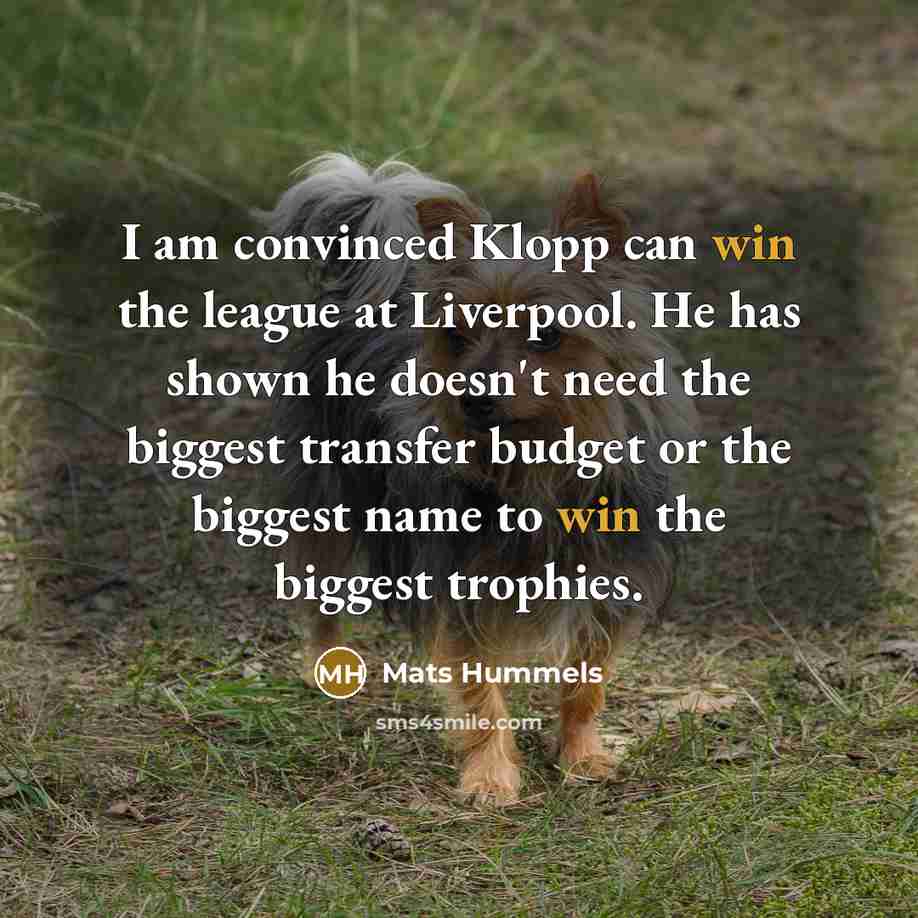 “I am convinced Klopp can win the league at Liverpool. He has shown he doesn't need the biggest transfer budget or the biggest name to win the biggest trophies.” quote by Mats Hummels