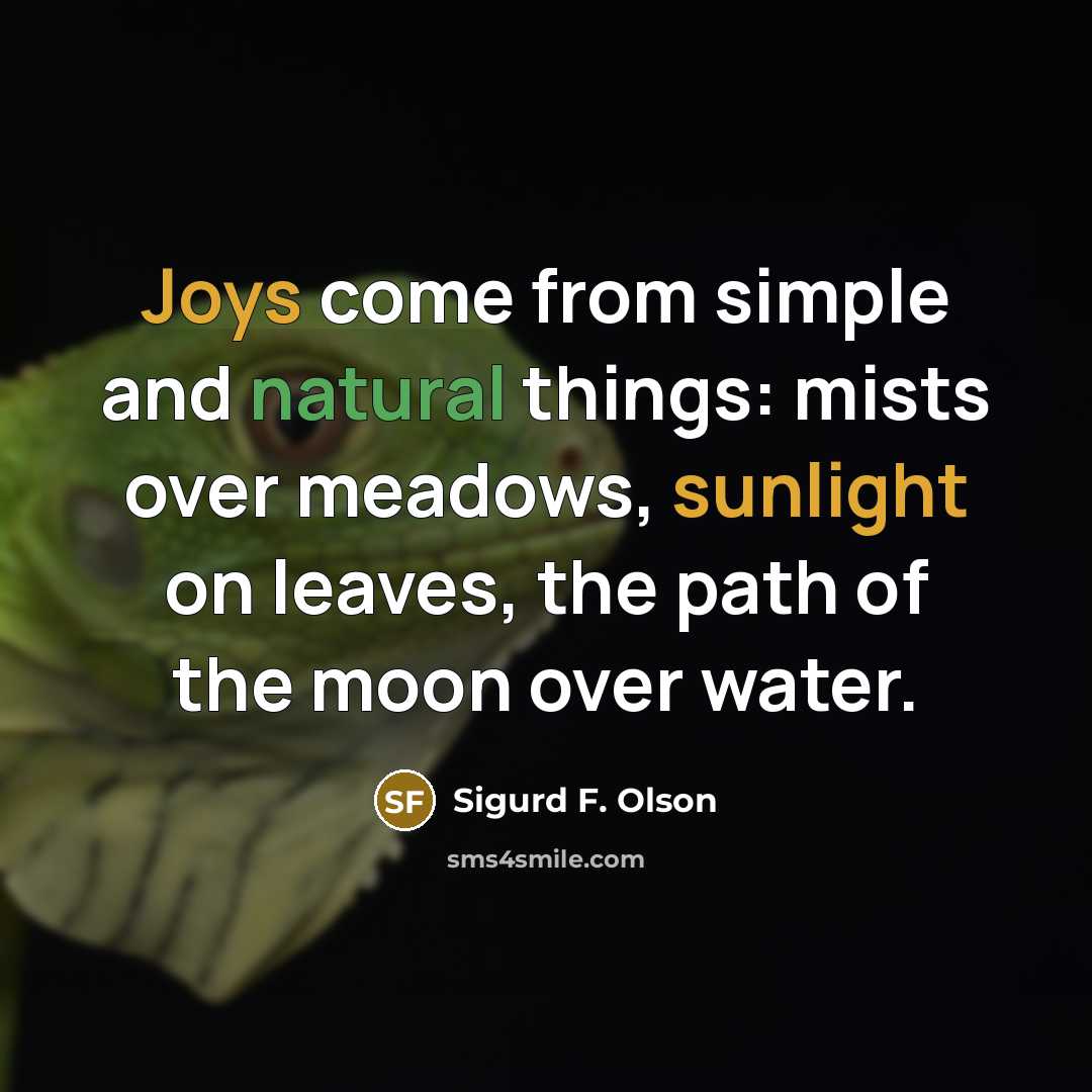 “Joys come from simple and natural things: mists over meadows, sunlight on leaves, the path of the moon over water.” quote by Sigurd F. Olson