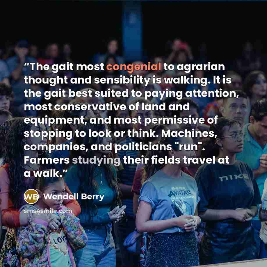 “The gait most congenial to agrarian thought and sensibility is walking. It is the gait best suited to paying attention, most conservative of land and equipment, and most permissive of stopping to look or think. Machines, companies, and politicians "run". Farmers studying their fields travel at a…” quote by Wendell Berry