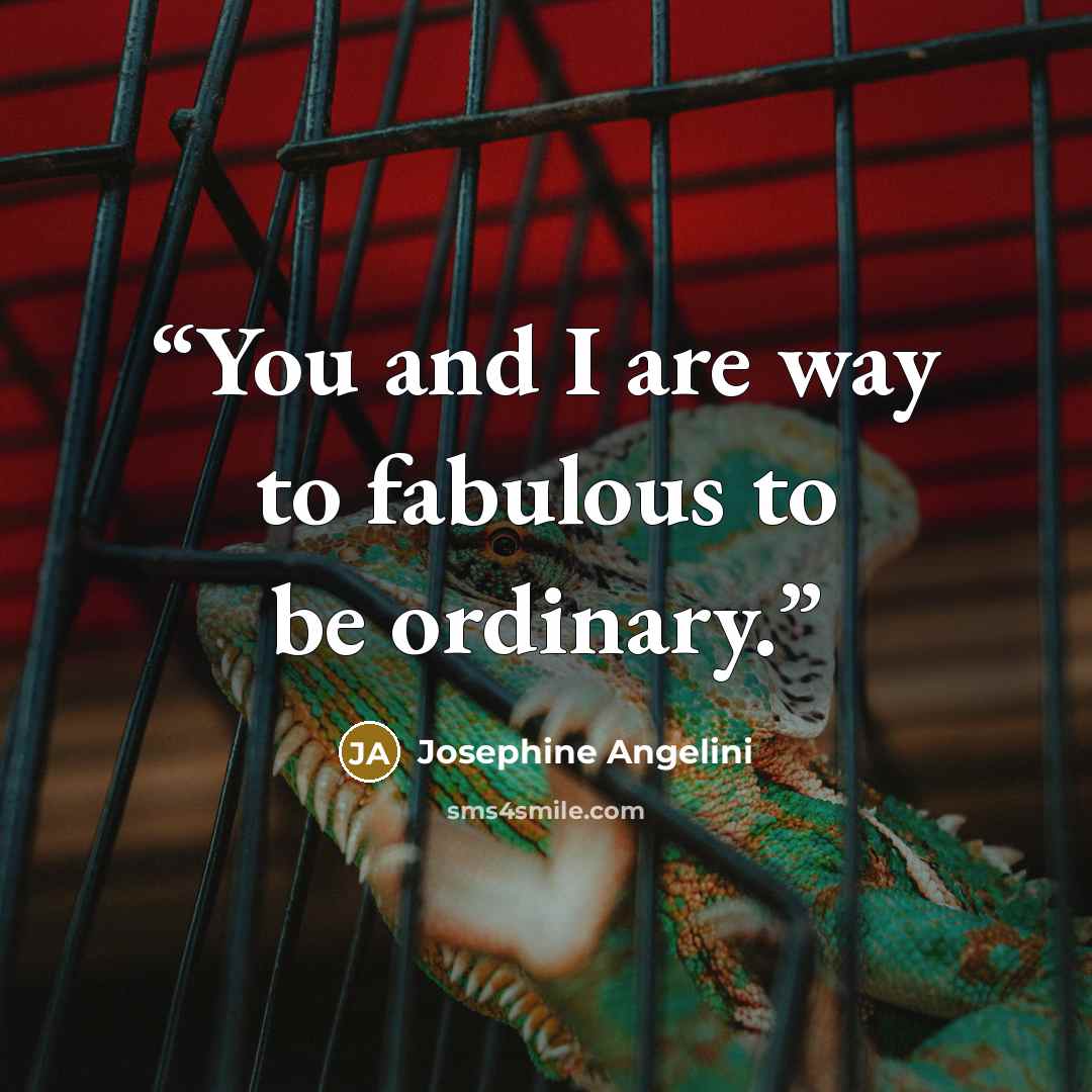 “You and I are way to fabulous to be ordinary.” quote by Josephine Angelini