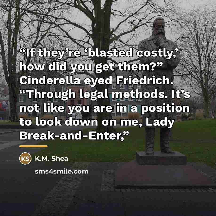 “If they’re ‘blasted costly,’ how did you get them?” Cinderella eyed Friedrich. “Through legal methods. It’s not like you are in a position to look down on me, Lady Break-and-Enter,” quote by K.M. Shea