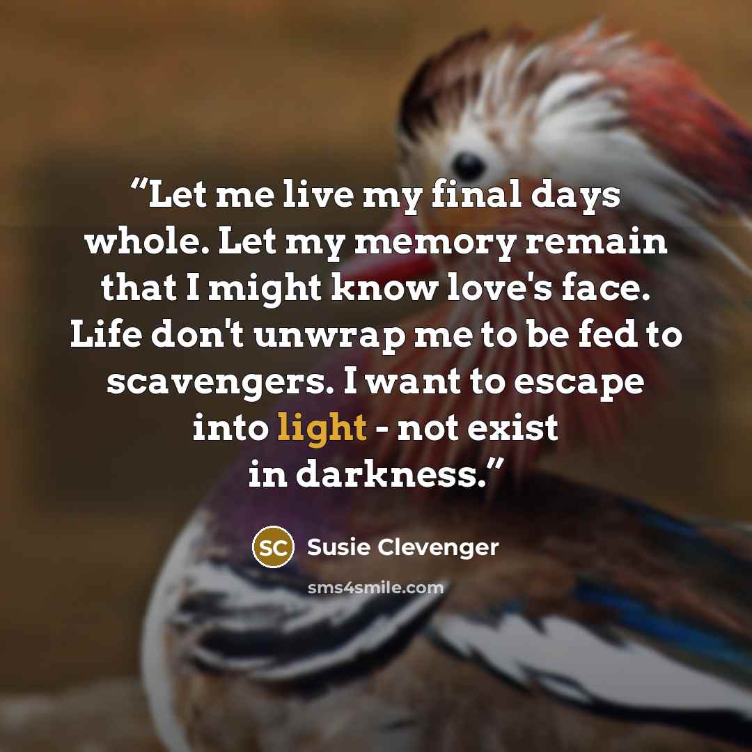 “Let me live my final days whole. Let my memory remain that I might know love's face. Life don't unwrap me to be fed to scavengers. I want to escape into light - not exist in darkness.” quote by Susie Clevenger