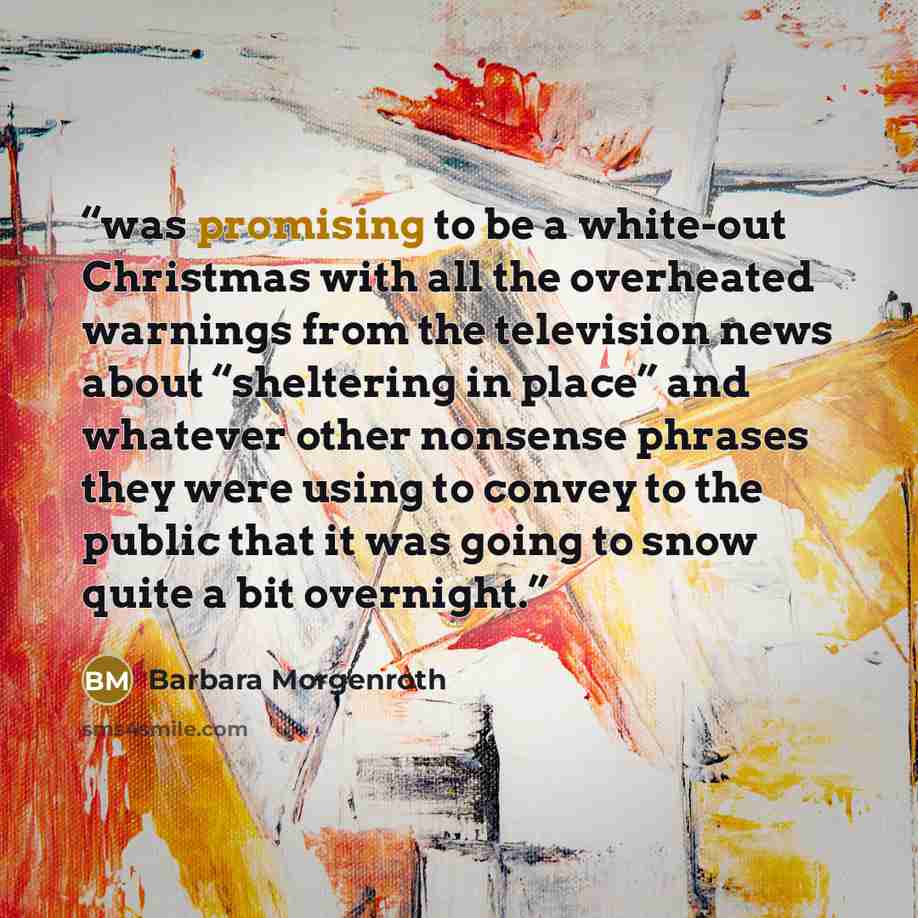 “was promising to be a white-out Christmas with all the overheated warnings from the television news about “sheltering in place” and whatever other nonsense phrases they were using to convey to the public that it was going to snow quite a bit overnight.” quote by Barbara Morgenroth