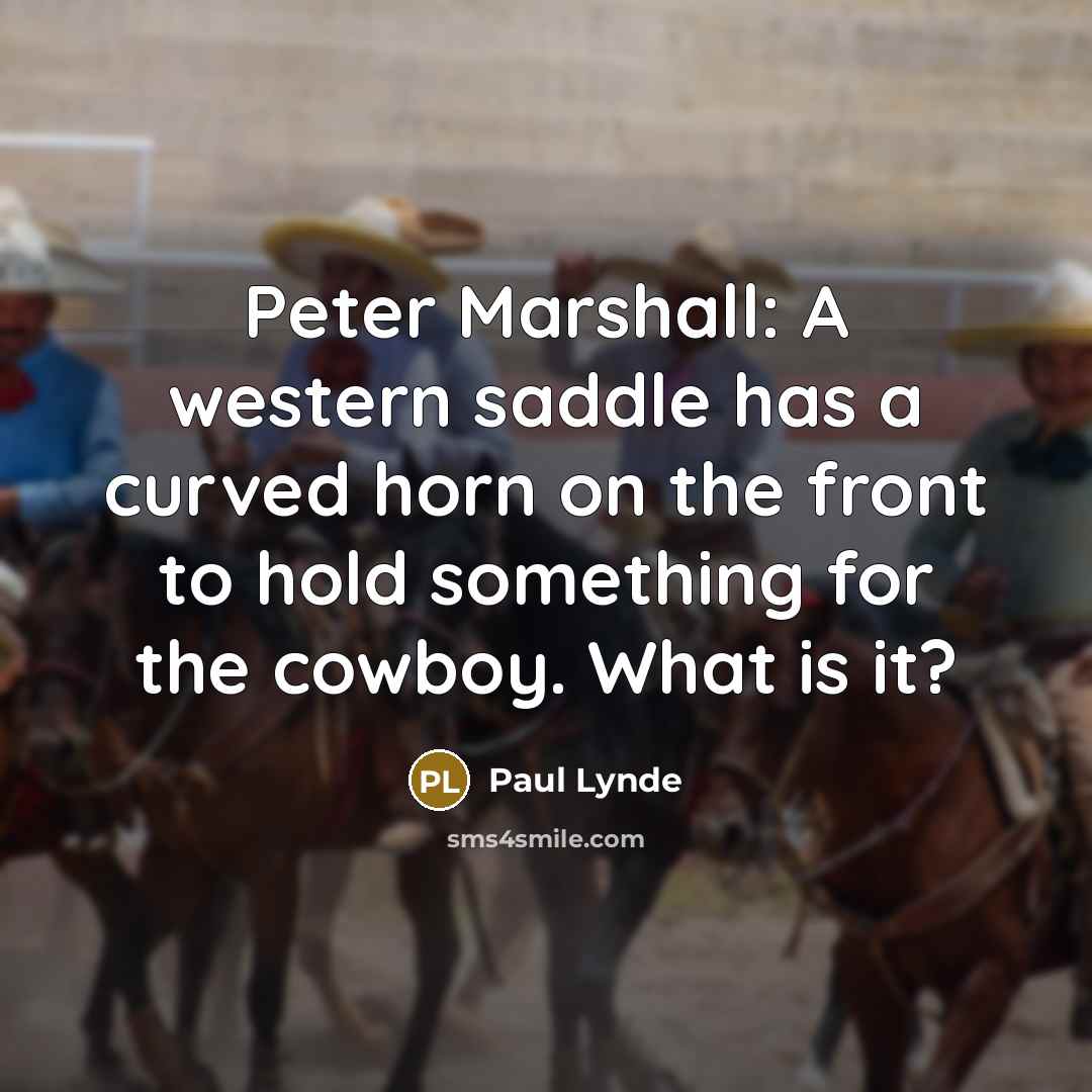 “Peter Marshall: A western saddle has a curved horn on the front to hold something for the cowboy. What is it?” quote by Paul Lynde