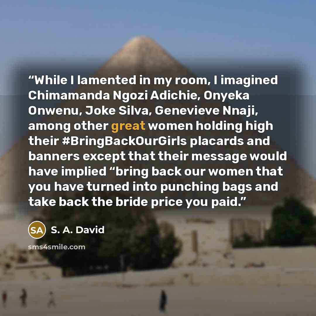 “While I lamented in my room, I imagined Chimamanda Ngozi Adichie, Onyeka Onwenu, Joke Silva, Genevieve Nnaji, among other great women holding high their #BringBackOurGirls placards and banners except that their message would have implied “bring back our women that you have turned into punching…” quote by S. A. David