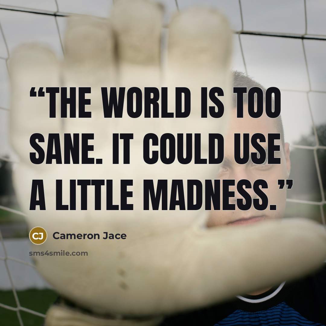 “The world is too sane. It could use a little madness.” quote by Cameron Jace
