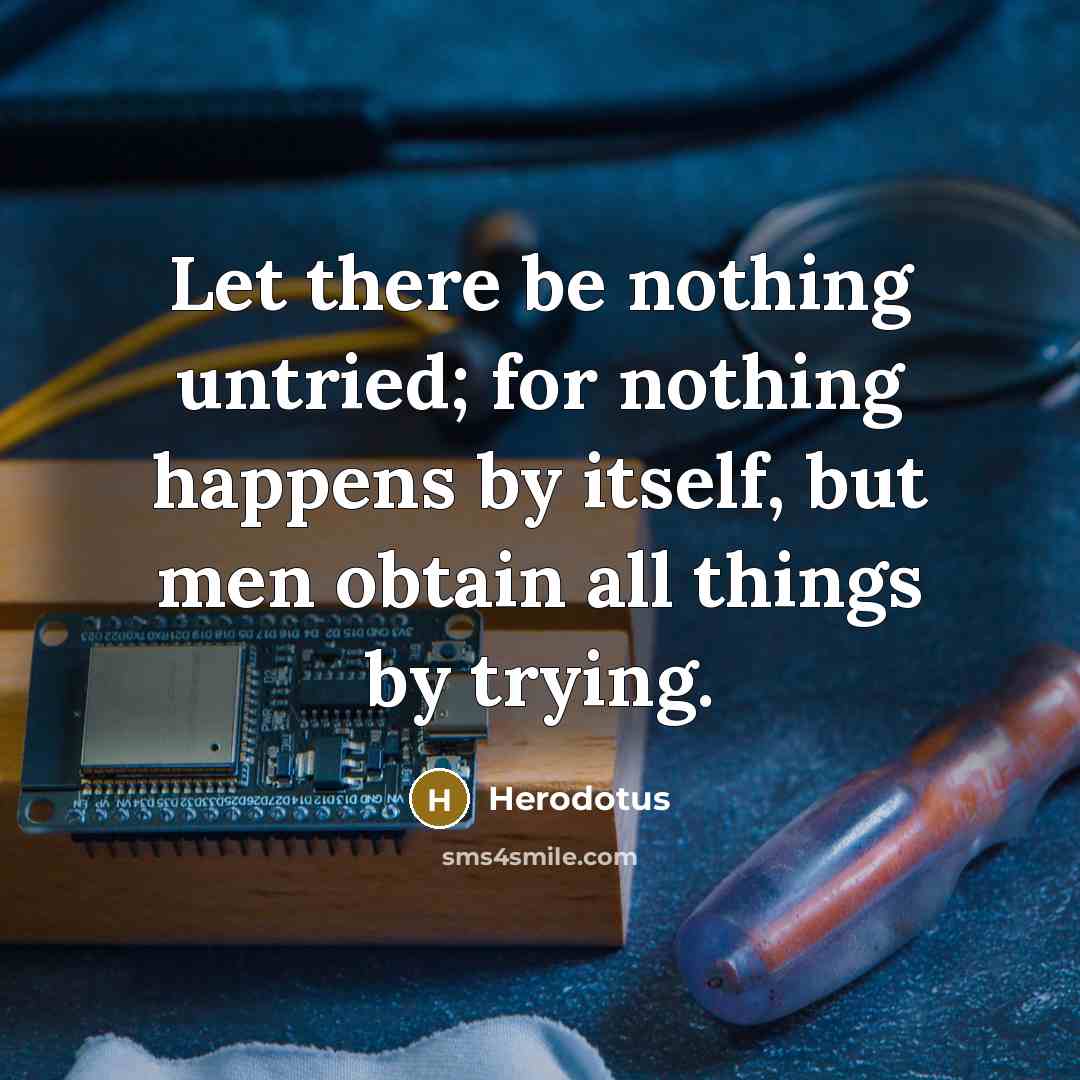 “Let there be nothing untried; for nothing happens by itself, but men obtain all things by trying.” quote by Herodotus