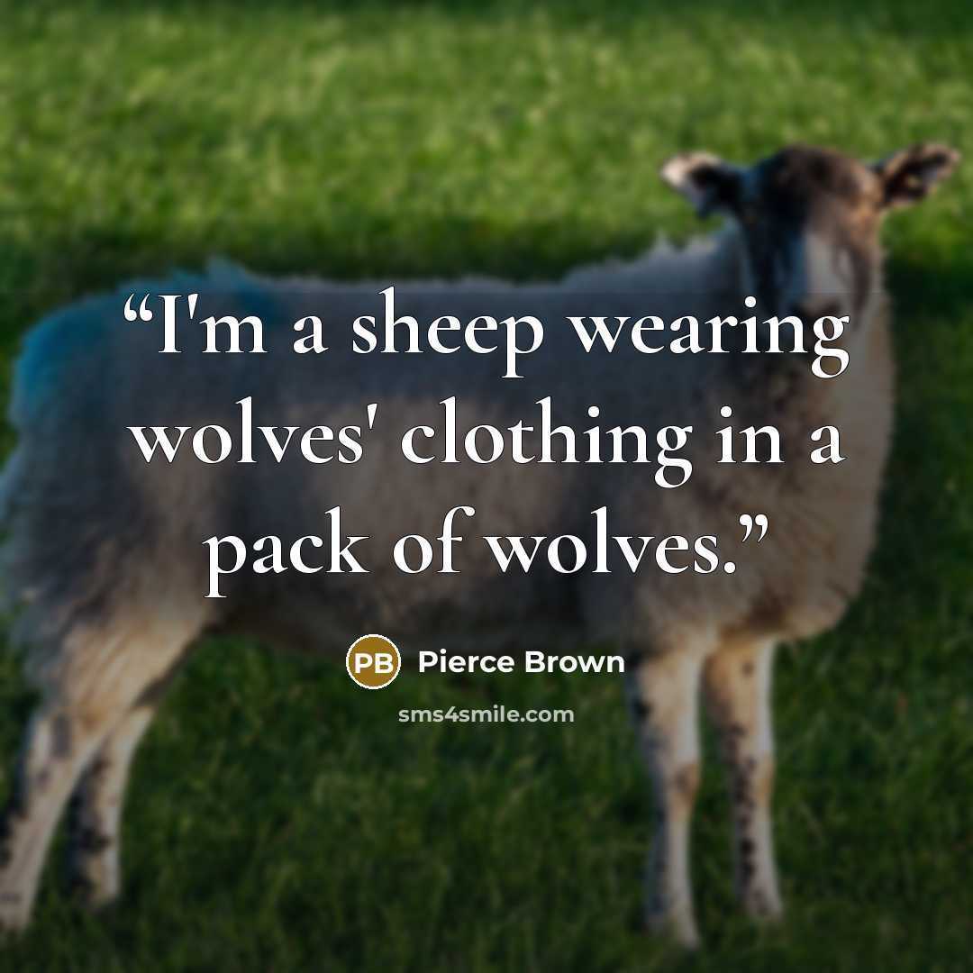 “I'm a sheep wearing wolves' clothing in a pack of wolves.” quote by Pierce Brown