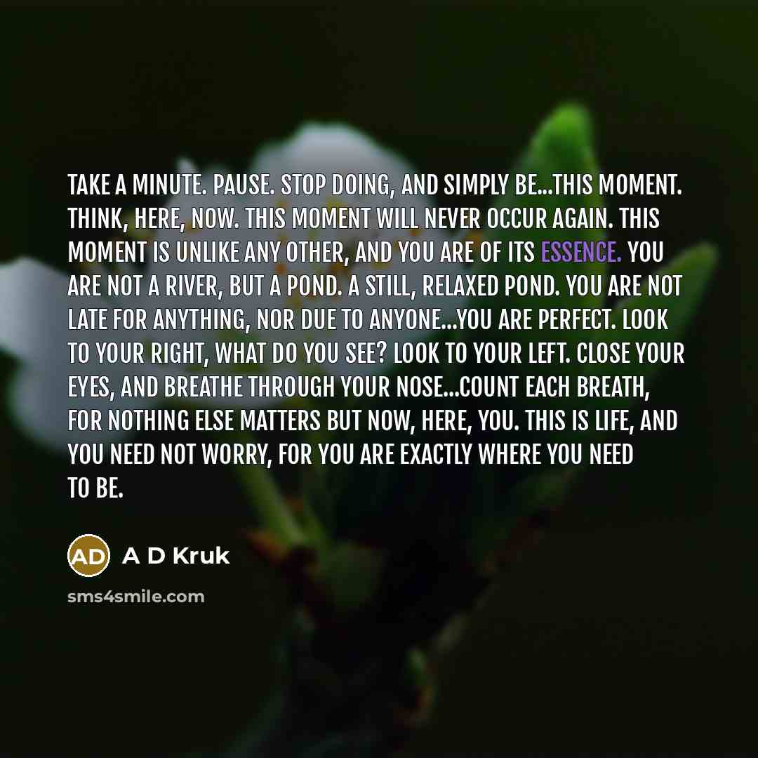 “Take a minute. Pause. Stop doing, and simply be...This moment. Think, here, now. This moment will never occur again. This moment is unlike any other, and you are of its essence. You are not a river, but a pond. A still, relaxed pond. You are not late for anything, nor due to anyone...You are…” quote by A D Kruk