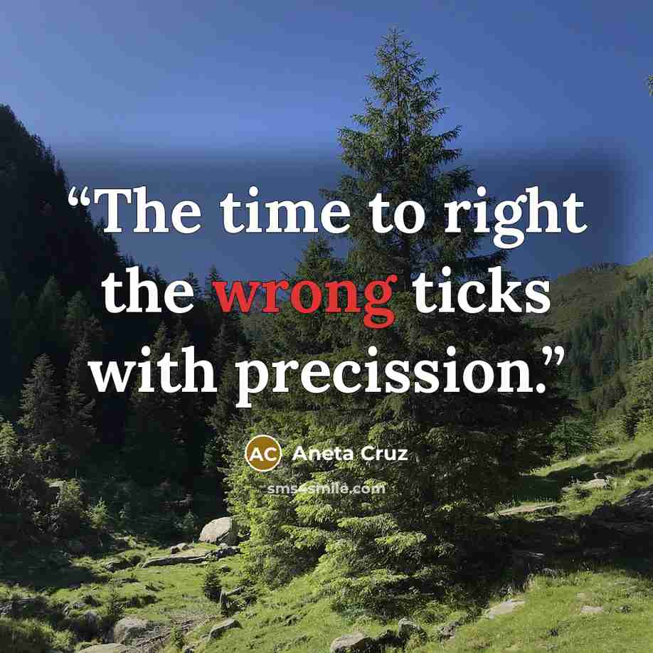 “The time to right the wrong ticks with precission.” quote by Aneta Cruz