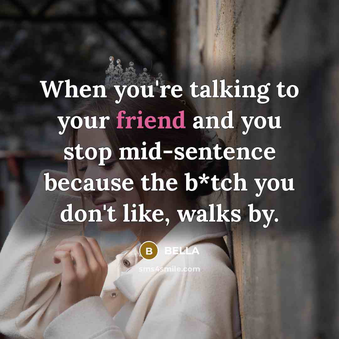 “When you're talking to your friend and you stop mid-sentence because the b*tch you don't like, walks by.” quote by Bella