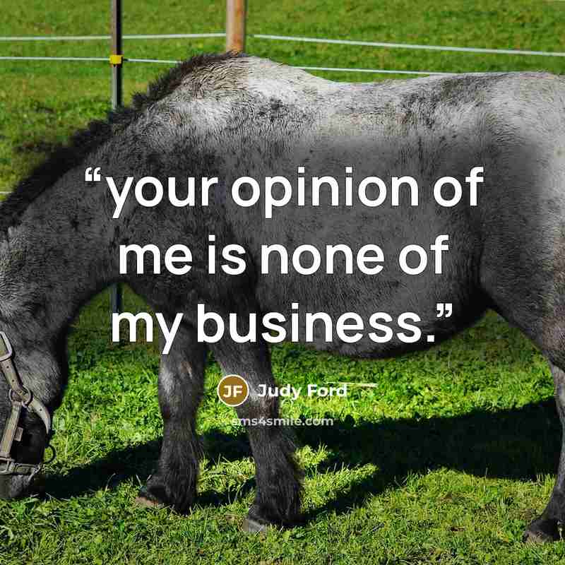 “your opinion of me is none of my business.” quote by judy ford
