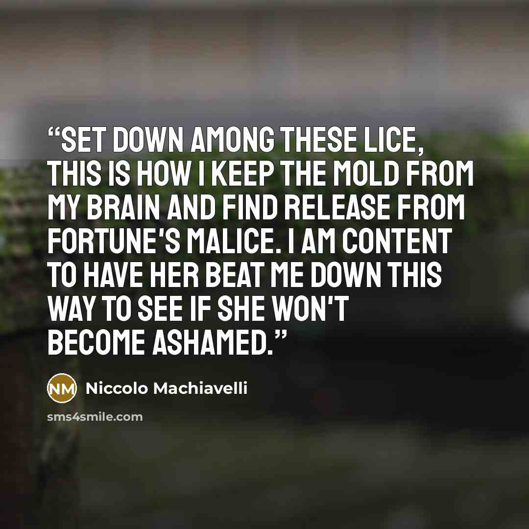 “Set down among these lice, this is how I keep the mold from my brain and find release from Fortune's malice. I am content to have her beat me down this way to see if she won't become ashamed.” quote by Niccolò Machiavelli