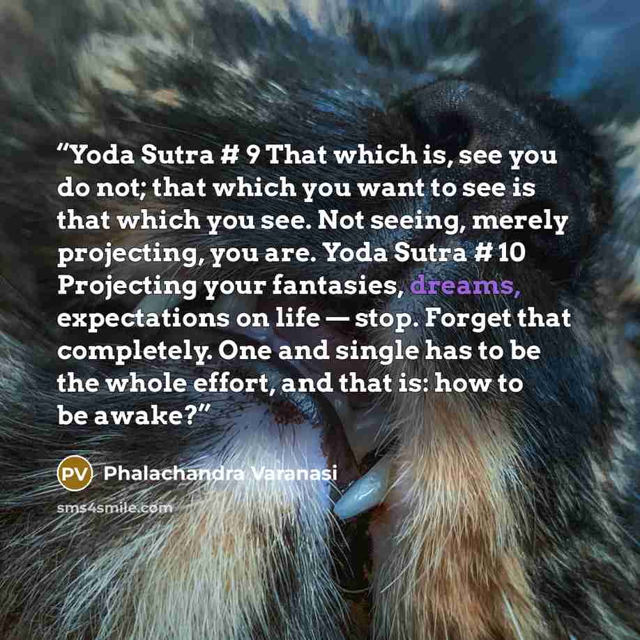 “Yoda Sutra # 9 That which is, see you do not; that which you want to see is that which you see. Not seeing, merely projecting, you are. Yoda Sutra # 10 Projecting your fantasies, dreams, expectations on life — stop. Forget that completely. One and single has to be the whole effort, and that is…” quote by Phalachandra Varanasi