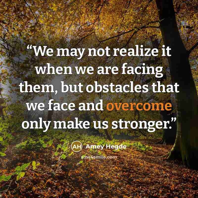 “We may not realize it when we are facing them, but obstacles that we face and overcome only make us stronger.” quote by Amey Hegde