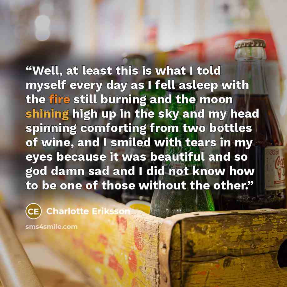 “Well, at least this is what I told myself every day as I fell asleep with the fire still burning and the moon shining high up in the sky and my head spinning comforting from two bottles of wine, and I smiled with tears in my eyes because it was beautiful and so god damn sad and I did not know how…” quote by Charlotte Eriksson