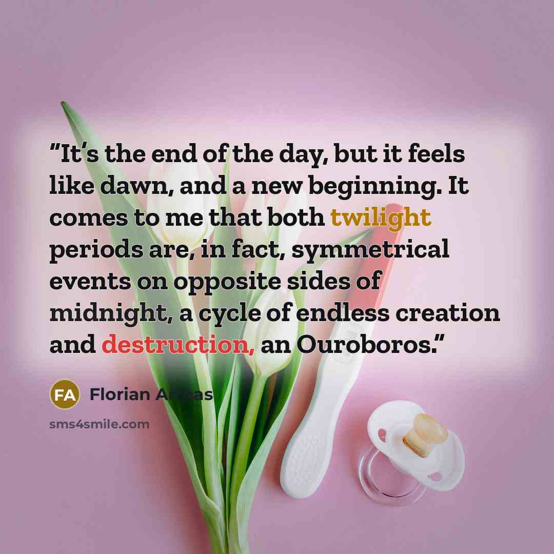 “It’s the end of the day, but it feels like dawn, and a new beginning. It comes to me that both twilight periods are, in fact, symmetrical events on opposite sides of midnight, a cycle of endless creation and destruction, an Ouroboros.” quote by Florian Armas