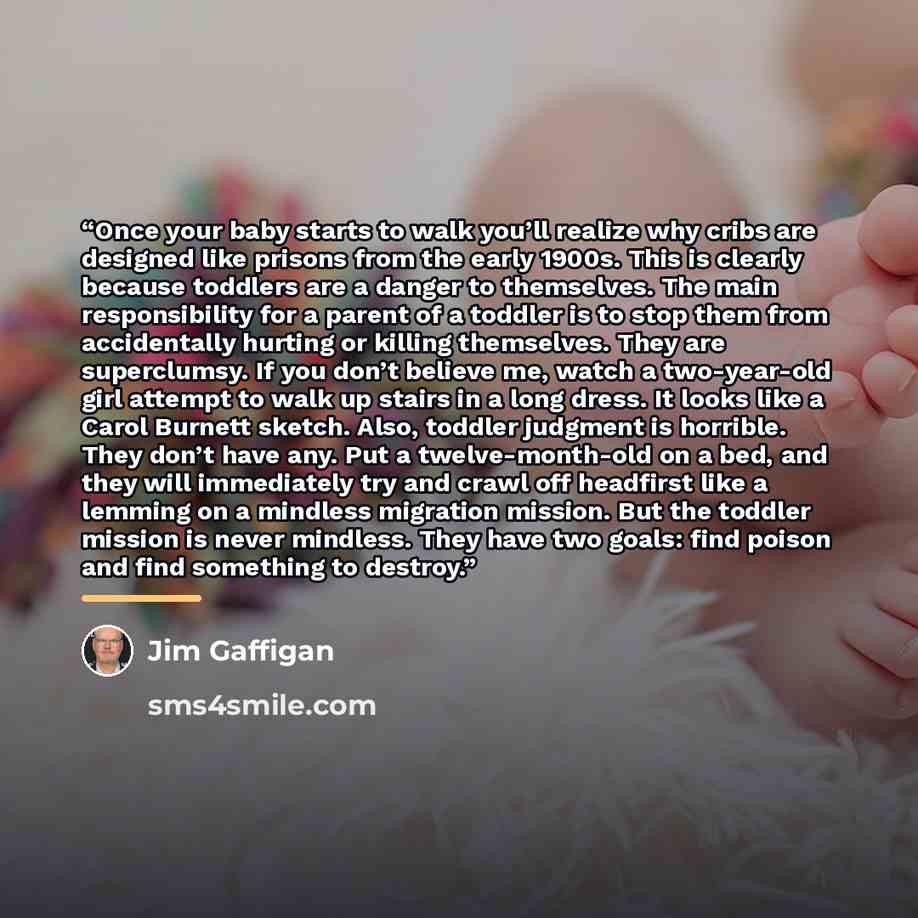 “Once your baby starts to walk you’ll realize why cribs are designed like prisons from the early 1900s. This is clearly because toddlers are a danger to themselves. The main responsibility for a parent of a toddler is to stop them from accidentally hurting or killing themselves. They are…” quote by Jim Gaffigan