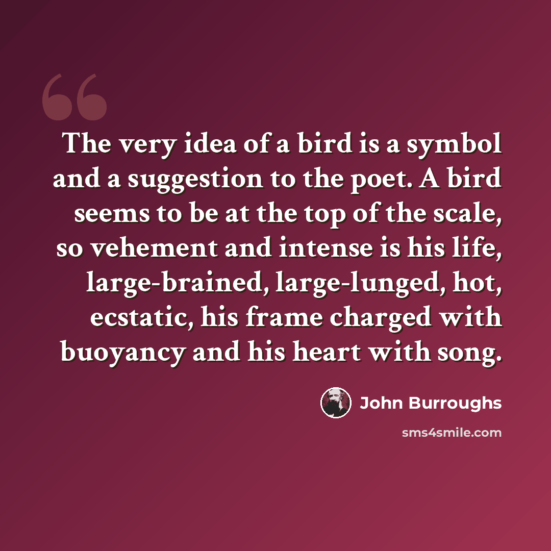 “The very idea of a bird is a symbol and a suggestion to the poet. A bird seems to be at the top of the scale, so vehement and intense is his life, large-brained, large-lunged, hot, ecstatic, his frame charged with buoyancy and his heart with song.” quote by John Burroughs
