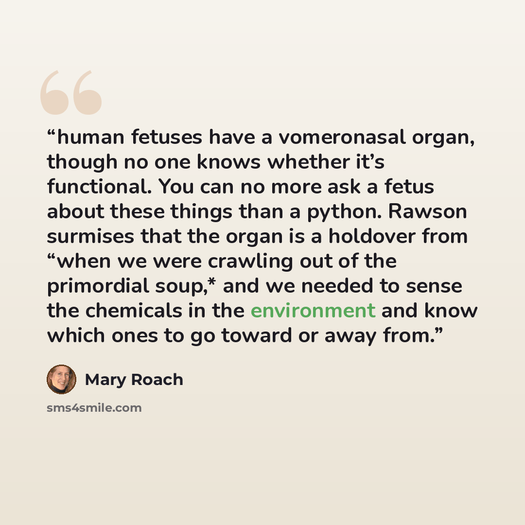 “human fetuses have a vomeronasal organ, though no one knows whether it’s functional. You can no more ask a fetus about these things than a python. Rawson surmises that the organ is a holdover from “when we were crawling out of the primordial soup,* and we needed to sense the chemicals in the…” quote by Mary Roach