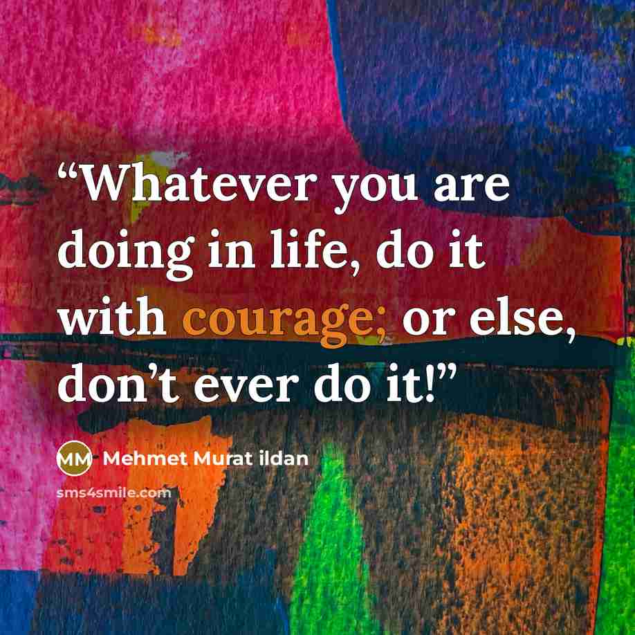 “Whatever you are doing in life, do it with courage; or else, don’t ever do it!” quote by Mehmet Murat ildan