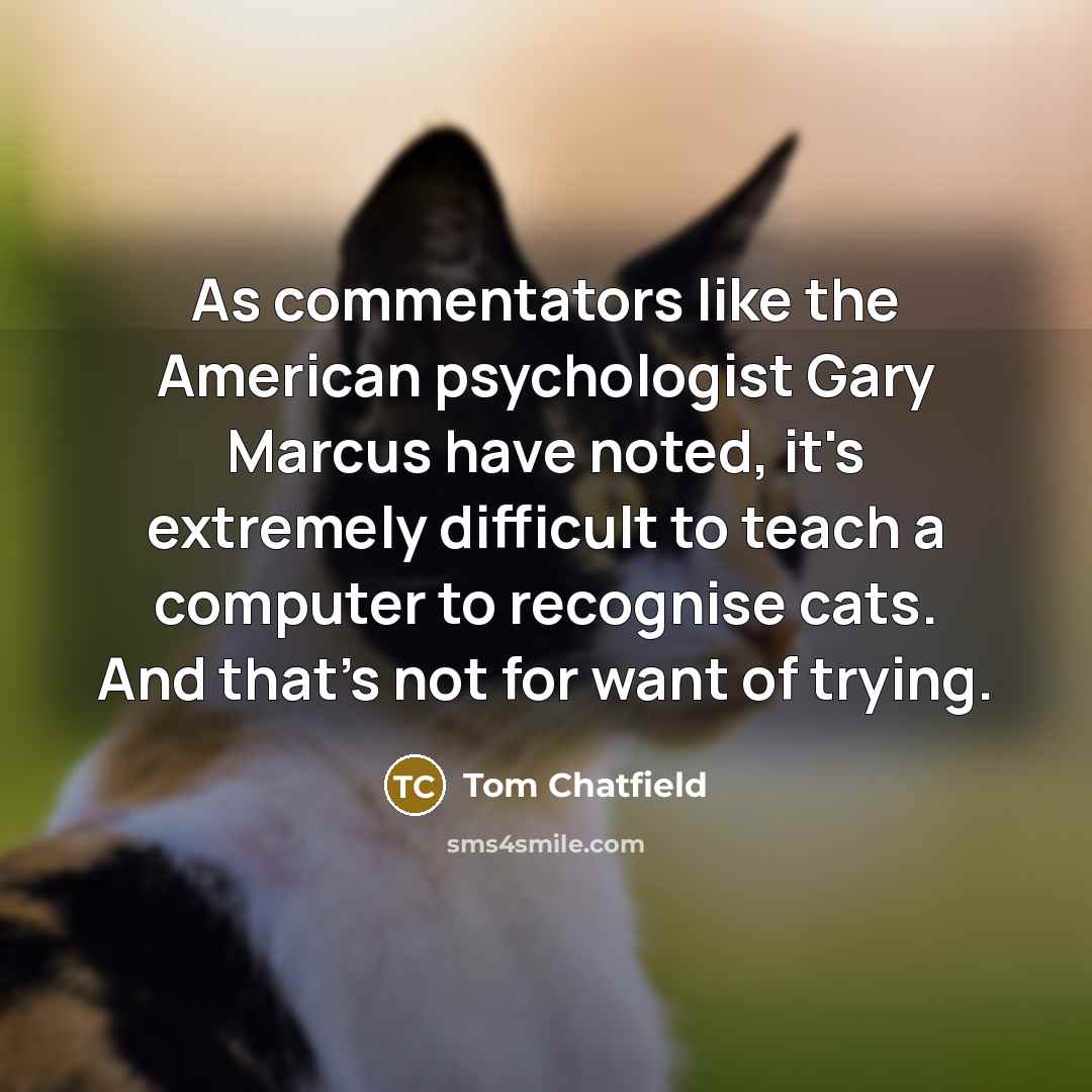 “As commentators like the American psychologist Gary Marcus have noted, it's extremely difficult to teach a computer to recognise cats. And that's not for want of trying.” quote by Tom Chatfield