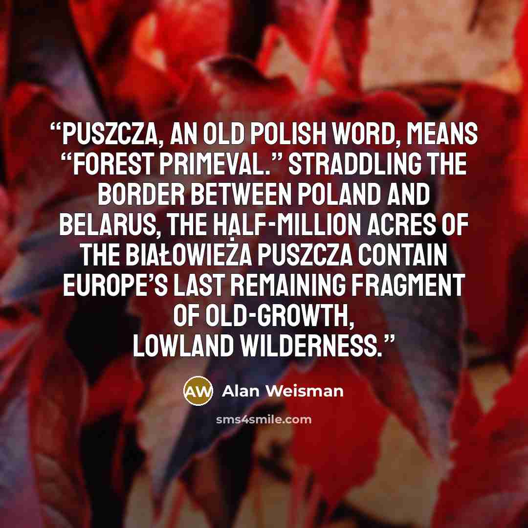 “Puszcza, an old Polish word, means “forest primeval.” Straddling the border between Poland and Belarus, the half-million acres of the Białowieża Puszcza contain Europe’s last remaining fragment of old-growth, lowland wilderness.” quote by Alan Weisman