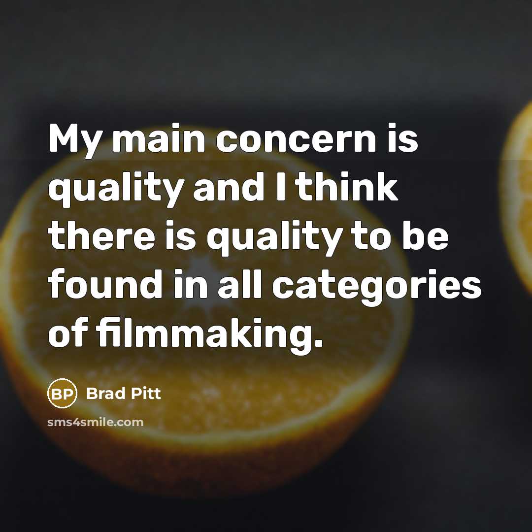 “My main concern is quality and I think there is quality to be found in all categories of filmmaking.” quote by Brad Pitt