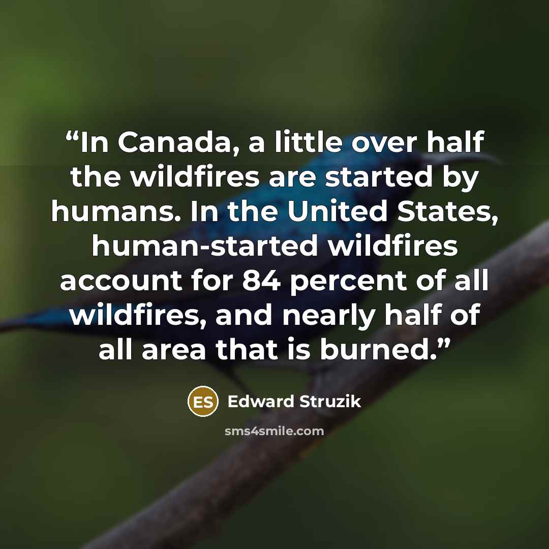 “In Canada, a little over half the wildfires are started by humans. In the United States, human-started wildfires account for 84 percent of all wildfires, and nearly half of all area that is burned.” quote by Edward Struzik