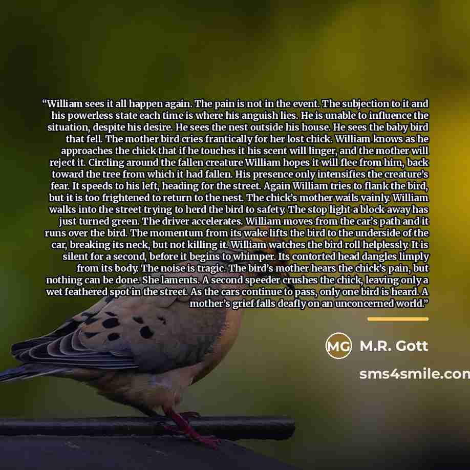 “William sees it all happen again. The pain is not in the event. The subjection to it and his powerless state each time is where his anguish lies. He is unable to influence the situation, despite his desire. He sees the nest outside his house. He sees the baby bird that fell. The mother bird cries…” quote by M.R. Gott
