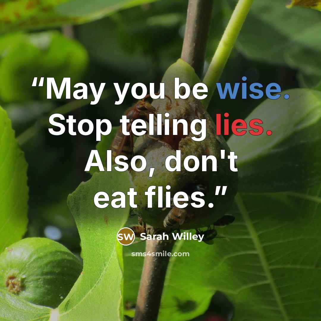 “May you be wise. Stop telling lies. Also, don't eat flies.” quote by Sarah Willey