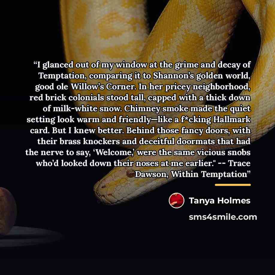 “I glanced out of my window at the grime and decay of Temptation, comparing it to Shannon’s golden world, good ole Willow’s Corner. In her pricey neighborhood, red brick colonials stood tall, capped with a thick down of milk-white snow. Chimney smoke made the quiet setting look warm and…” quote by Tanya Holmes