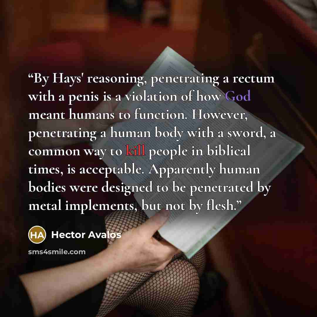 “By Hays' reasoning, penetrating a rectum with a penis is a violation of how God meant humans to function. However, penetrating a human body with a sword, a common way to kill people in biblical times, is acceptable. Apparently human bodies were designed to be penetrated by metal implements, but…” quote by Hector Avalos